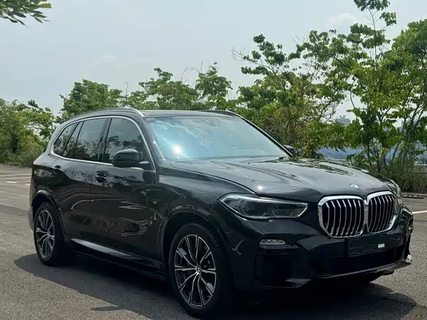 BMW X5 2019