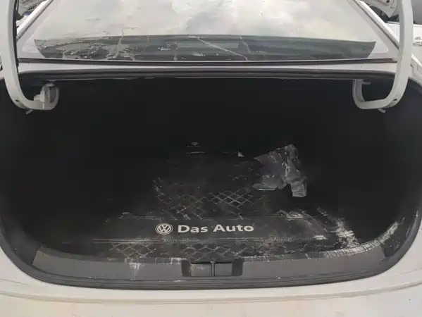 Volkswagen Sagitar 2021