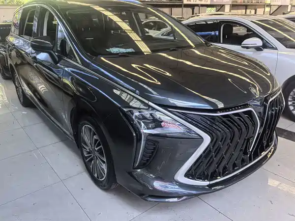 Dongfeng Popular Yacht 2023