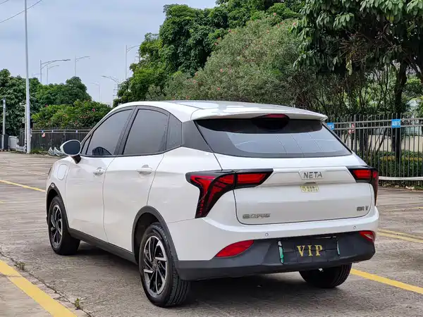 Neta V 2022