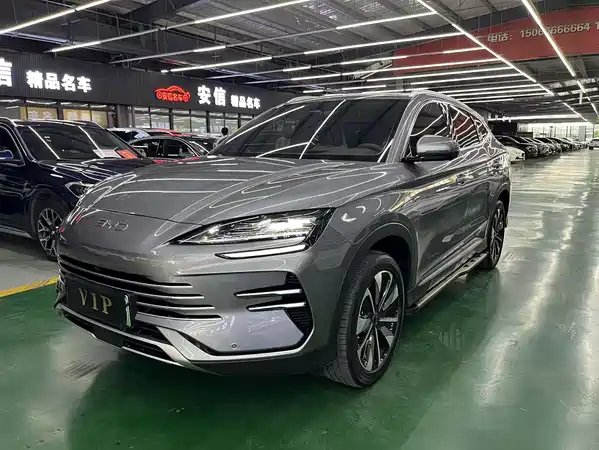 BYD Song PLUS New Energy 2024