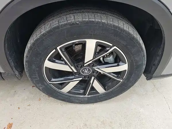 BYD Song Pro New Energy 2024