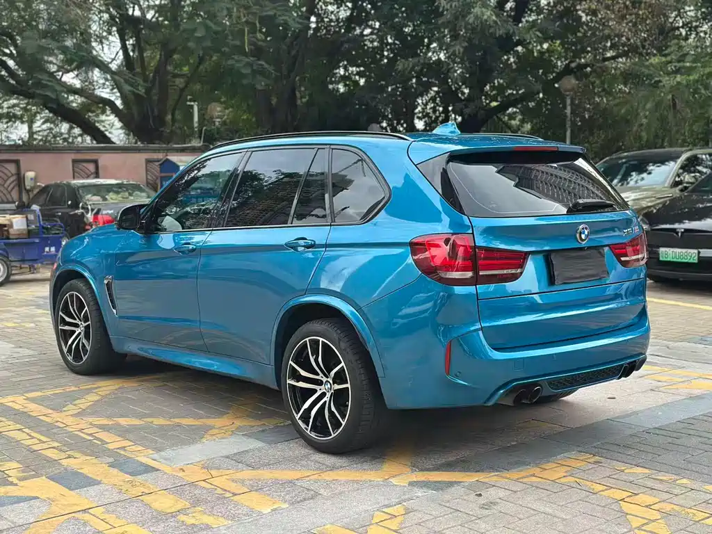 BMW X5 M 2017 — фото 9