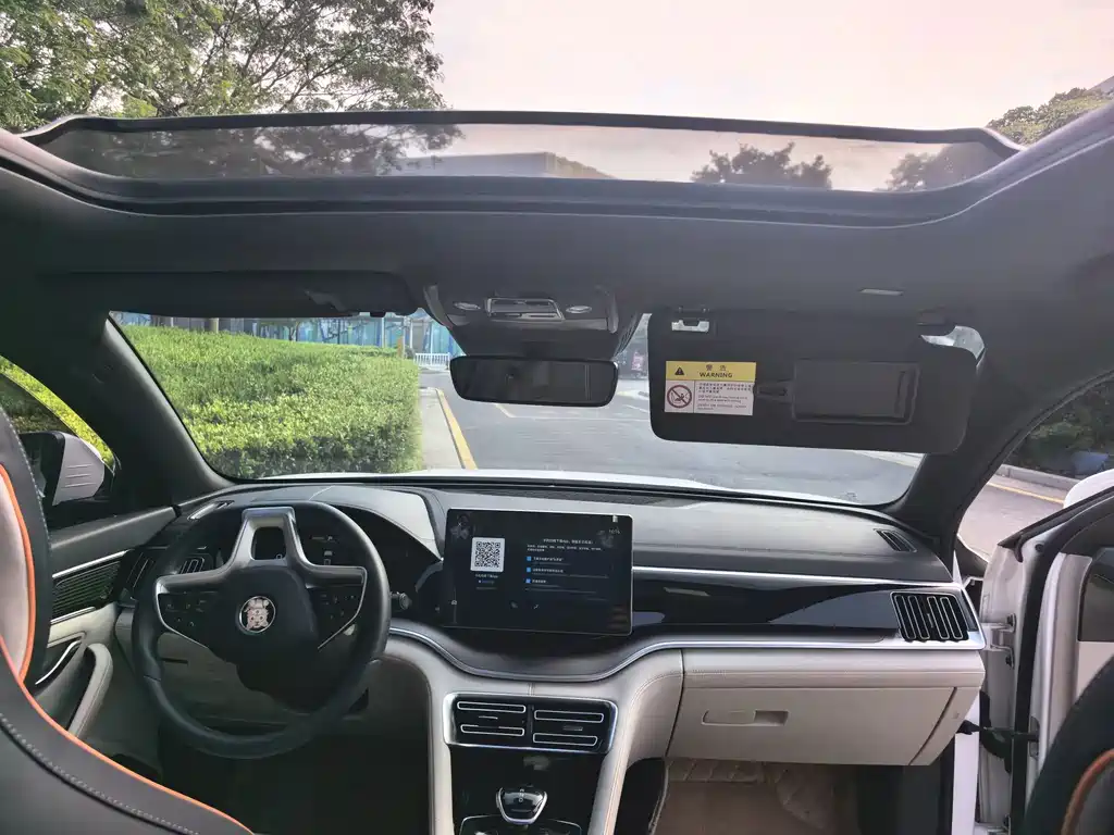 BYD Song PLUS New Energy 2022 — фото 15