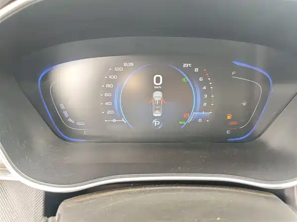 Geely Binrui 2020
