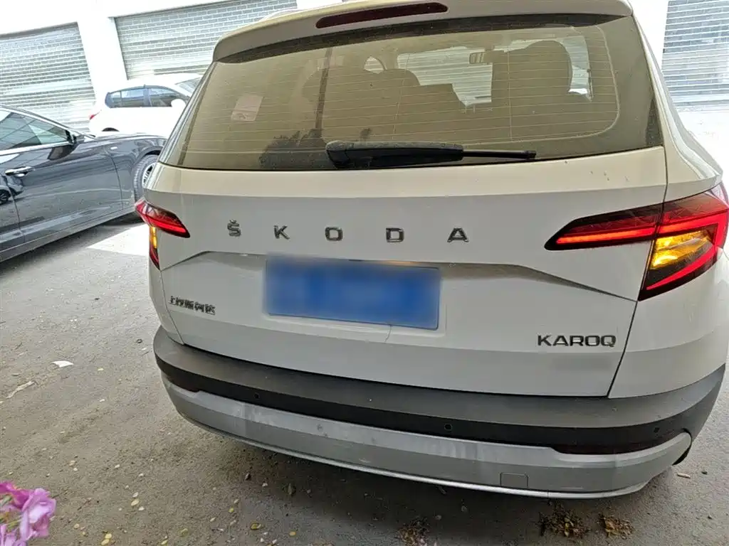 Skoda Karoq 2020 — фото 6