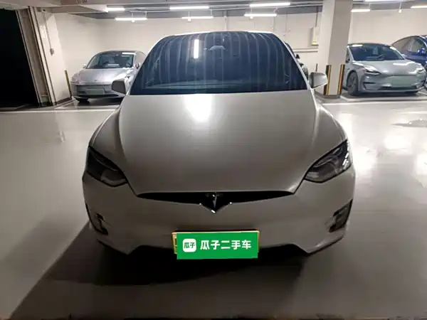 Tesla Model X 2020