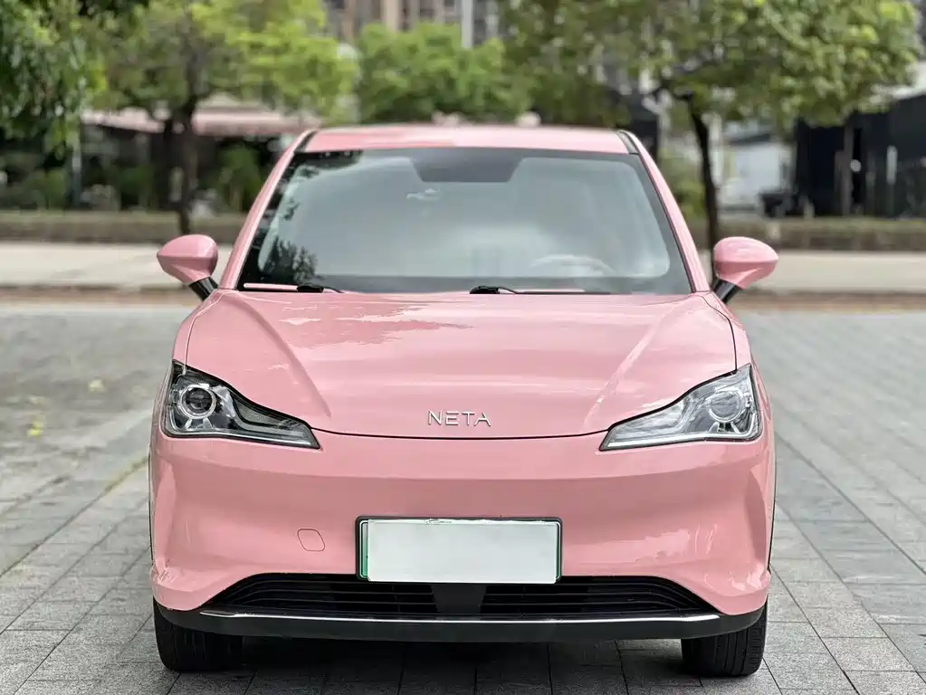 Neta V 2023