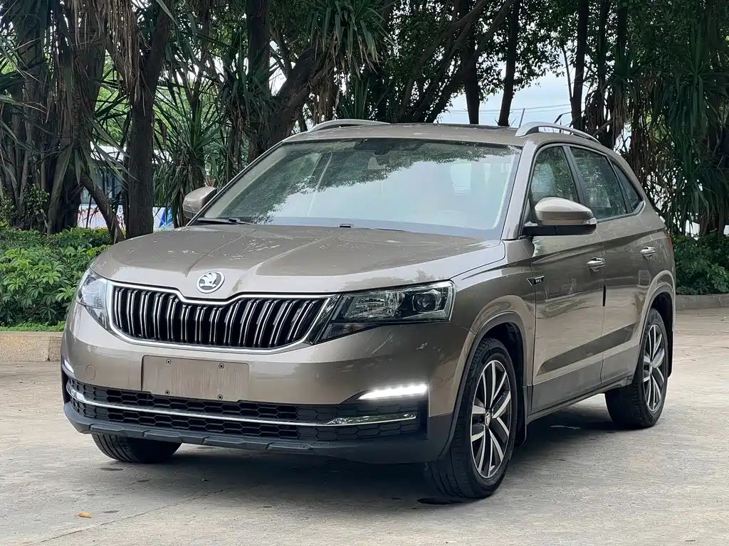 Skoda Kamiq 2020 — фото 10
