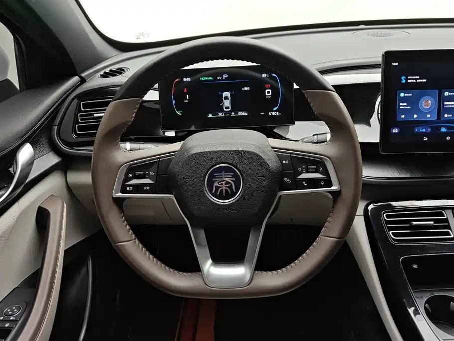 BYD Qin PLUS 2024 — фото 15