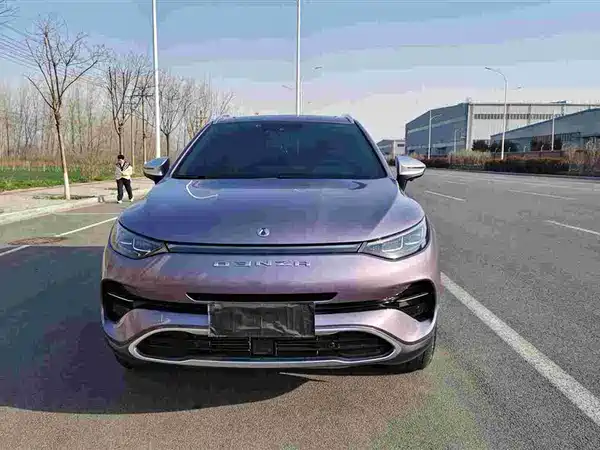 Denza X 2020