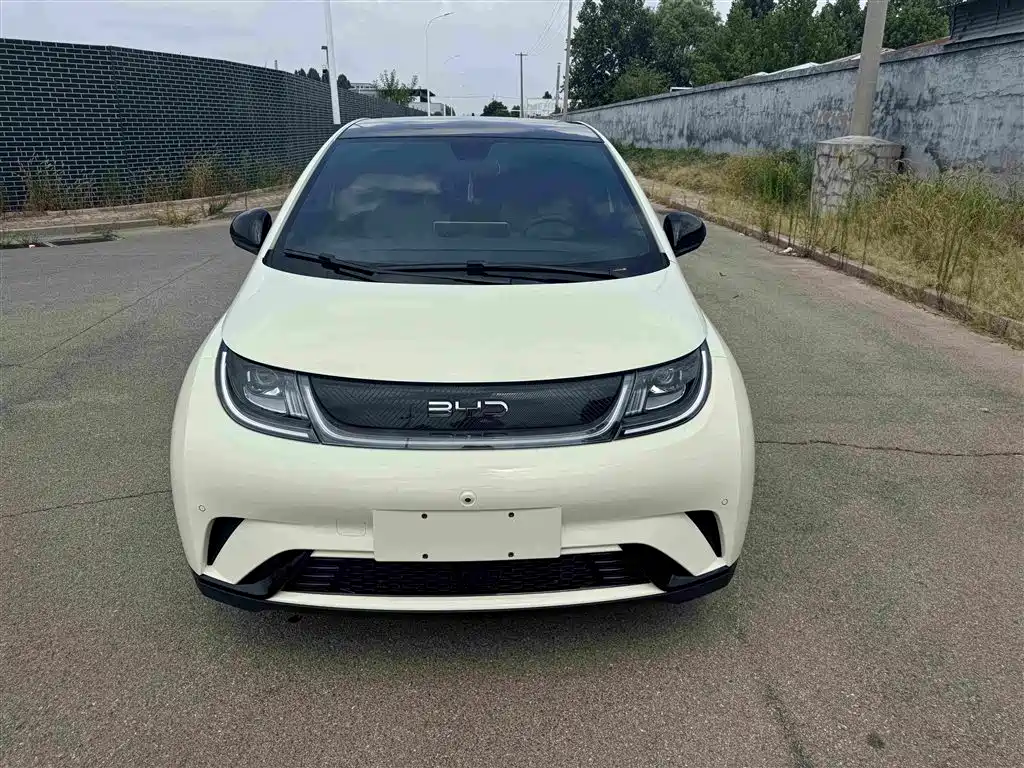 BYD Dolphin 2024 — фото 19