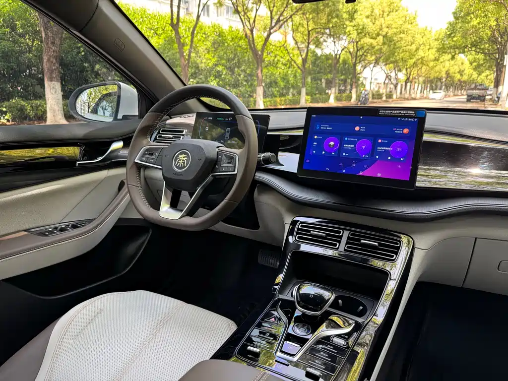 BYD Qin PLUS 2024 — фото 13