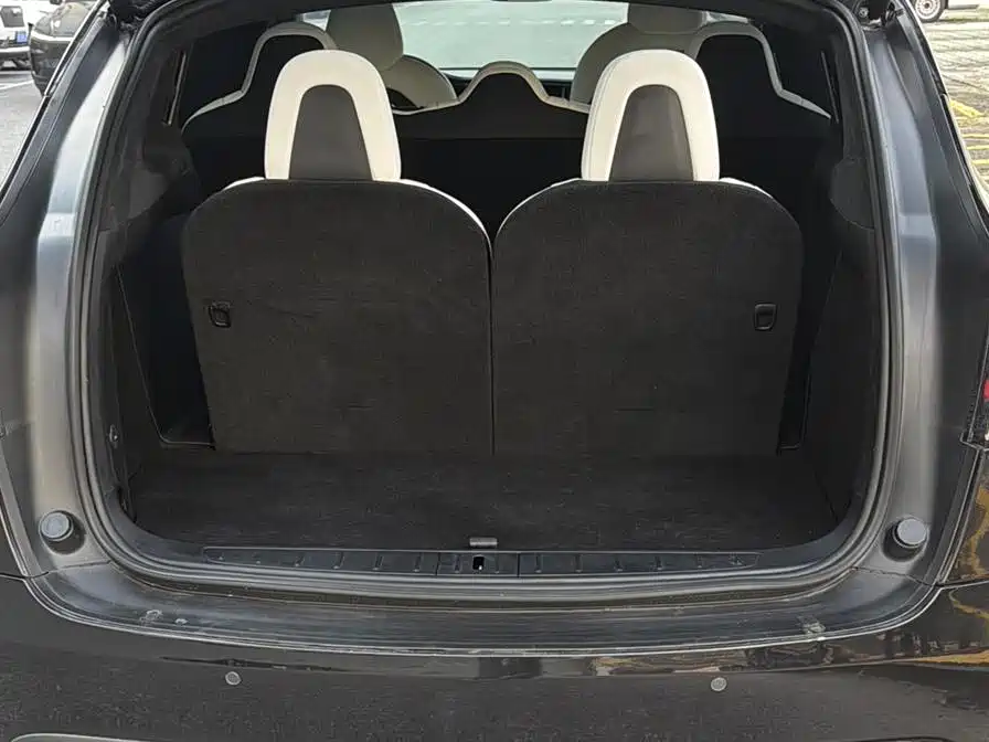 Tesla Model X 2020 — фото 12