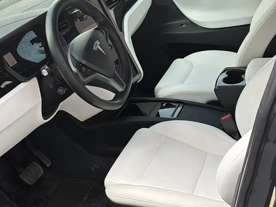 Tesla Model X 2020 — фото 9