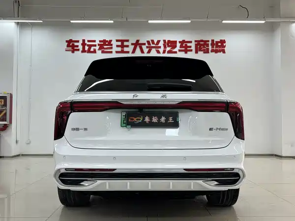 Hongqi E-HS9 2022