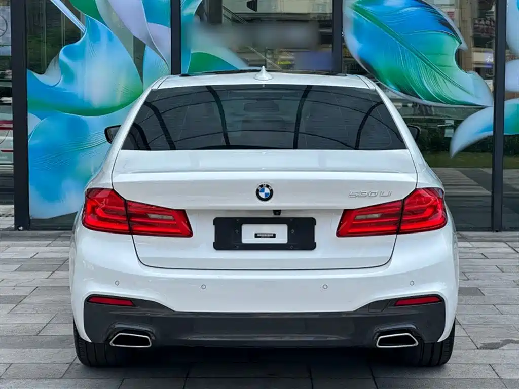 BMW 5 Series 2018 — фото 13