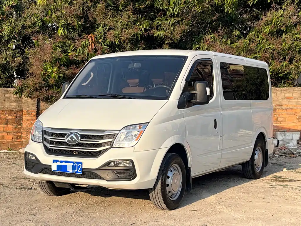 Maxus V80 2025