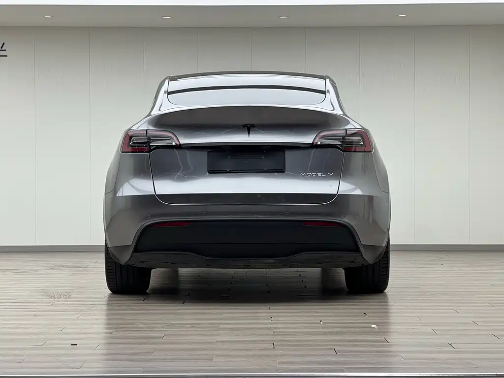 Tesla Model Y 2021 — фото 21