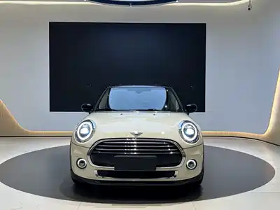 MINI MINI 2020