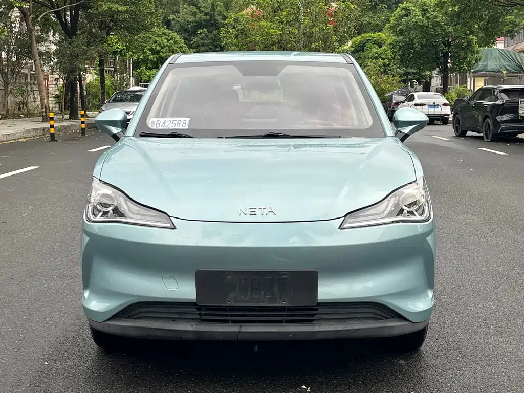 Neta V 2020