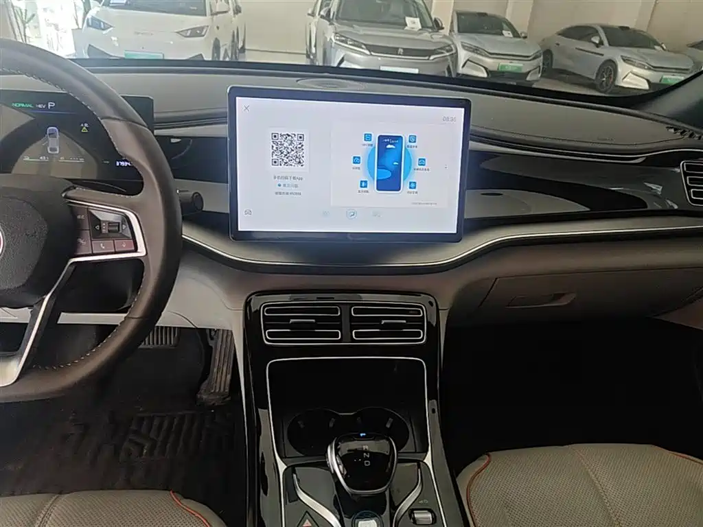 BYD Qin PLUS 2024 — фото 13