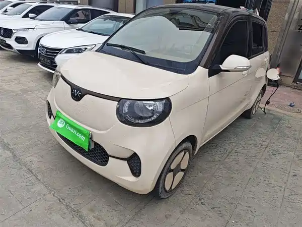 Xiaohu EV 2021