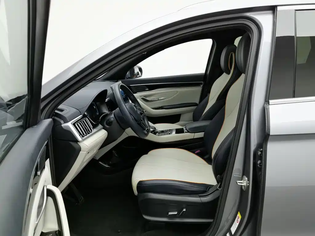 BYD Song PLUS New Energy 2022 — фото 10