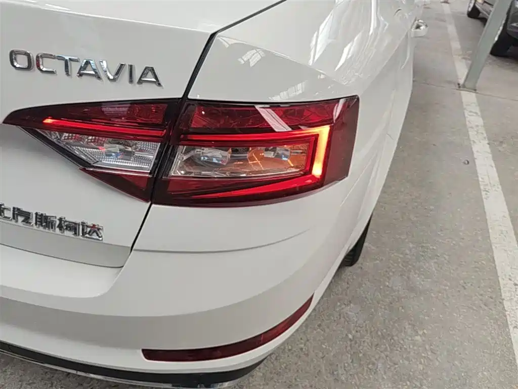 Skoda Octavia 2019 — фото 8