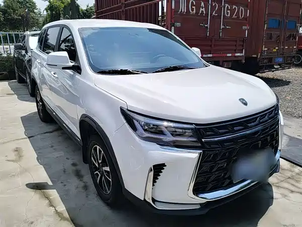 Dongfeng Fengxing T5 2024