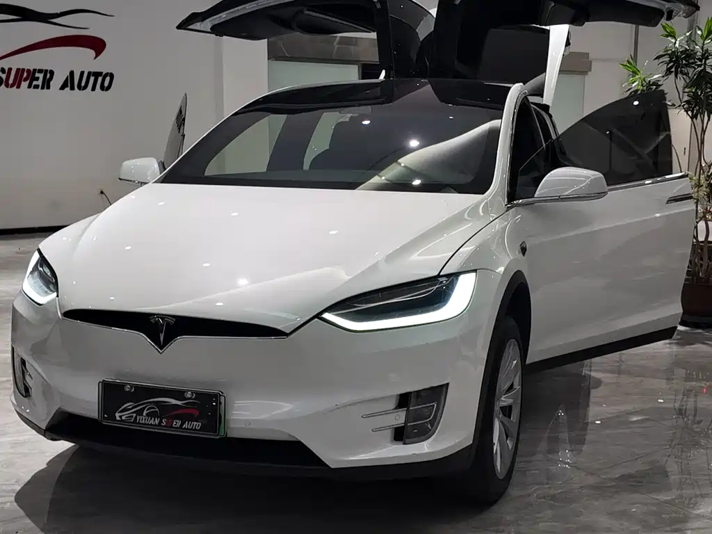 Tesla Model X 2020 — фото 5