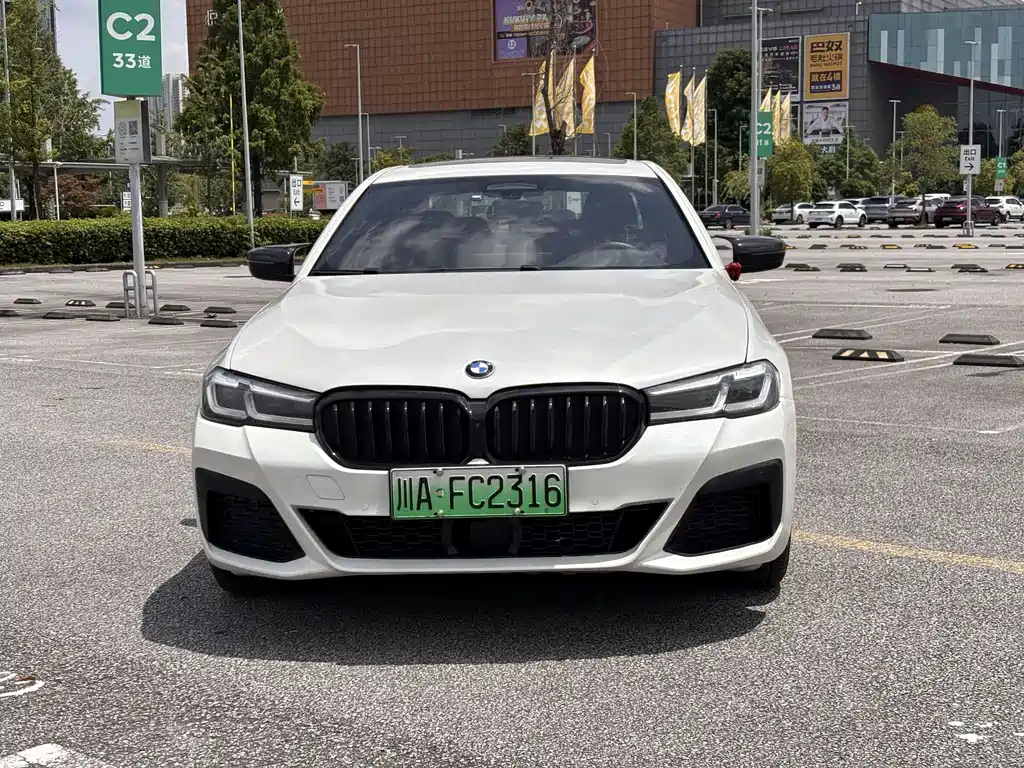 BMW 5 Series New Energy 2021