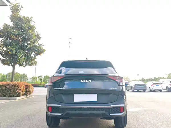Kia Lion Platinum Expands The Boundary 2025