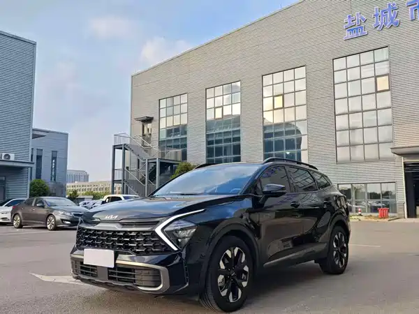 Kia Lion Platinum Expands The Boundary 2025