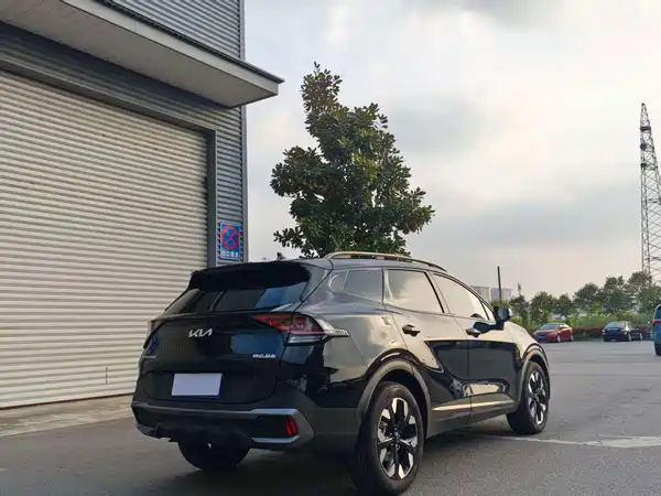 Kia Lion Platinum Expands The Boundary 2025