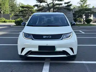 BYD Dolphin 2025