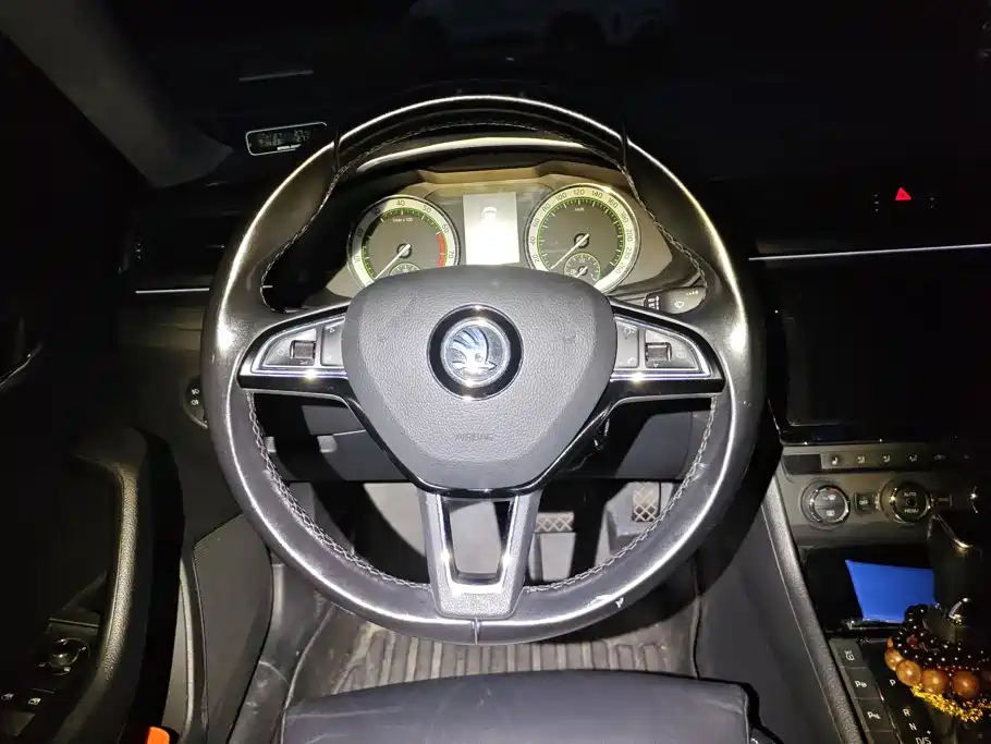 Skoda Speedy 2017 — фото 15