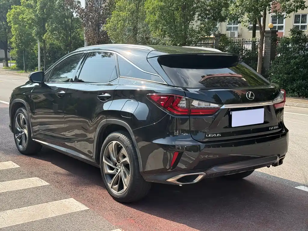 Lexus RX 2019 — фото 6