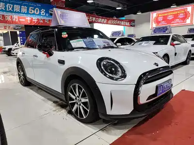 MINI MINI 2022