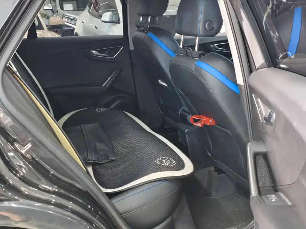 Audi Q2L E-Tron 2021