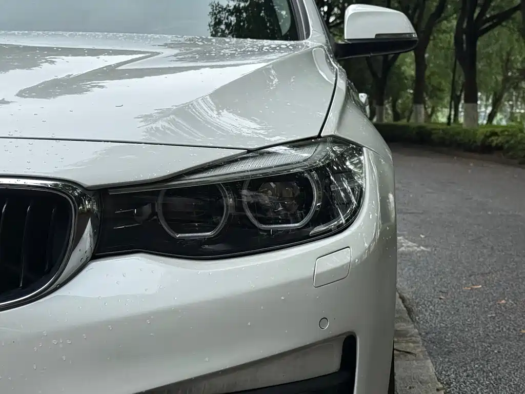 BMW 3 Series GT 2017 — фото 12