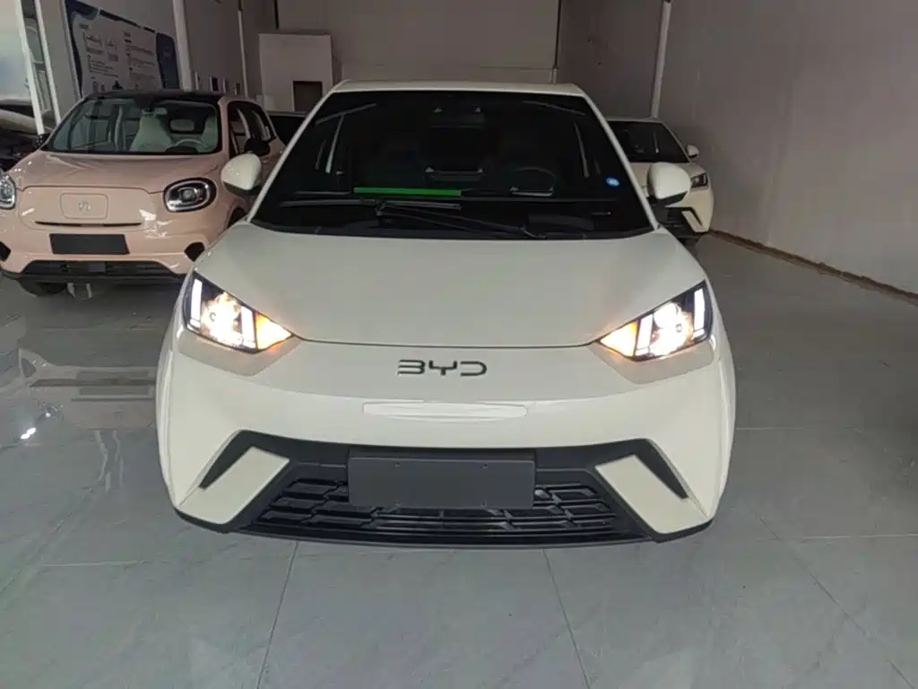 BYD Seagull 2025