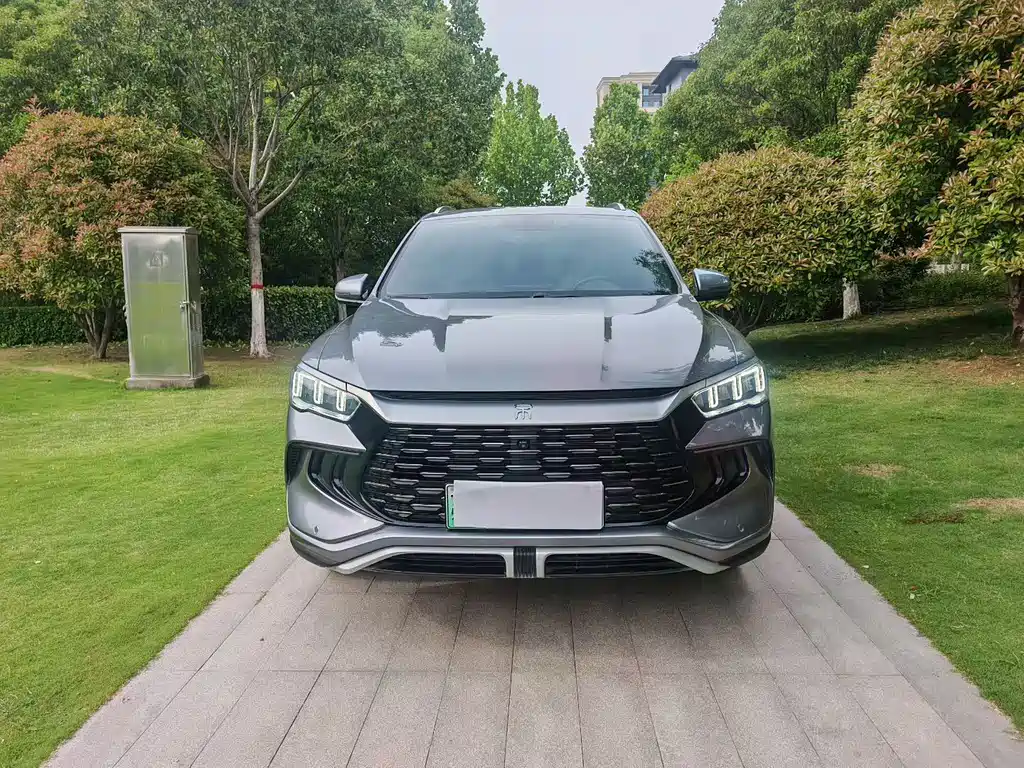 BYD Pro New Energy 2024 — фото 2