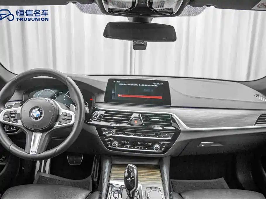 BMW 5 Series 2018 — фото 13
