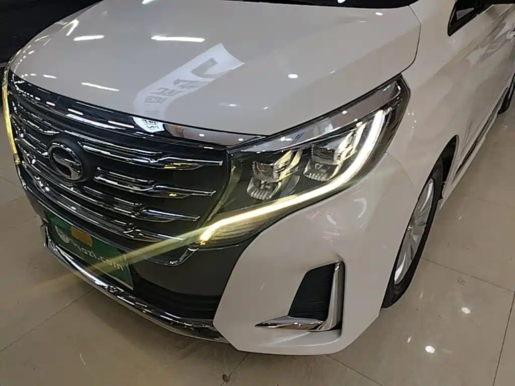 GAC Motor Trumpchi M8 2020 — фото 24