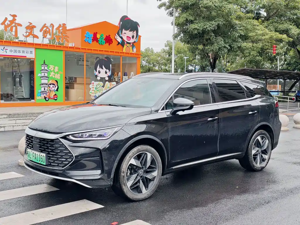 BYD Tang New Energy 2024