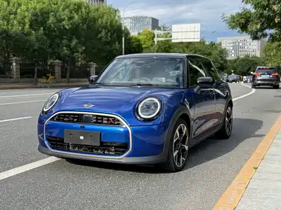 MINI MINI 2025
