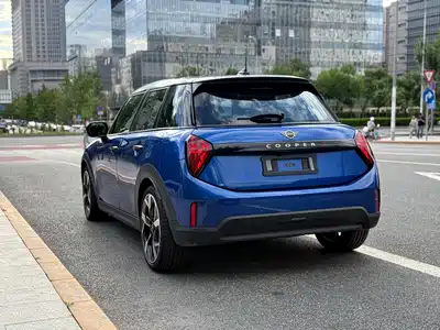 MINI MINI 2025