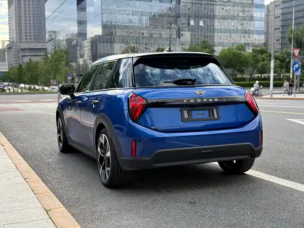 MINI MINI 2025