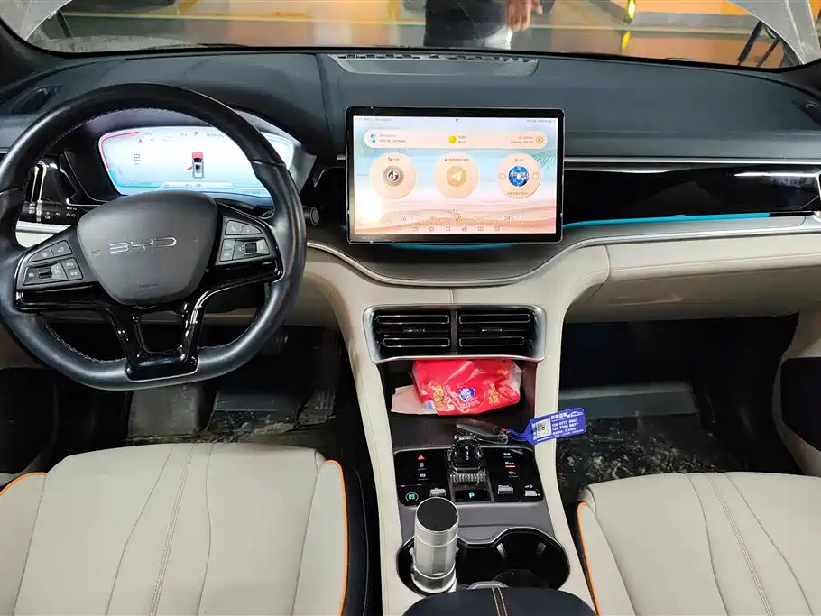 BYD PLUS New Energy 2023 — фото 12